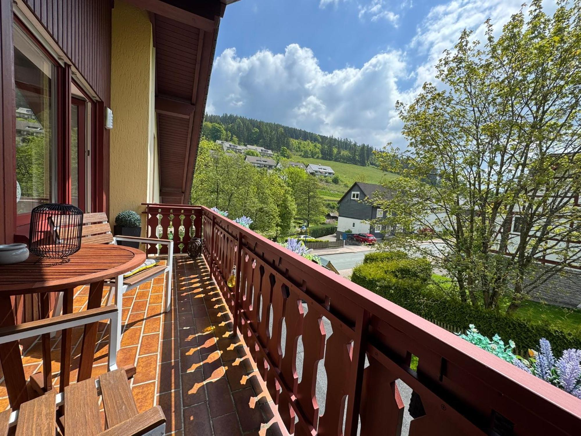Ferienwohnung Sonnentraum - Appartement 5 Willingen Виллинген Экстерьер фото